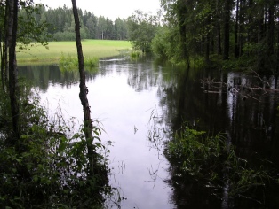 Paalijoki tulvii kesällä 2004